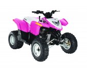 2010 Polaris Phoenix 200 photo